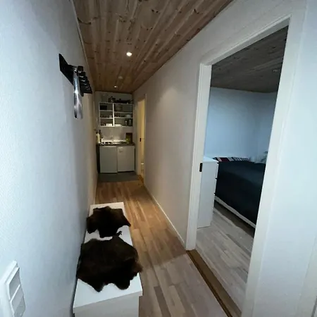 Hyggelig I Rinkenaes *